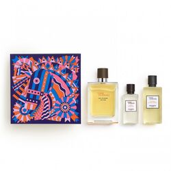 Hermes Terre D'hermes Eau Intense Vetiver 100ml Apă De Parfum + 40ml After Shave Lotion + 80ml Gel de duș