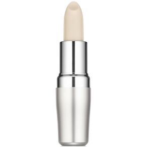 Shiseido Protective Lip Conditioner Soin Traitant Protecteur Levres Spf10